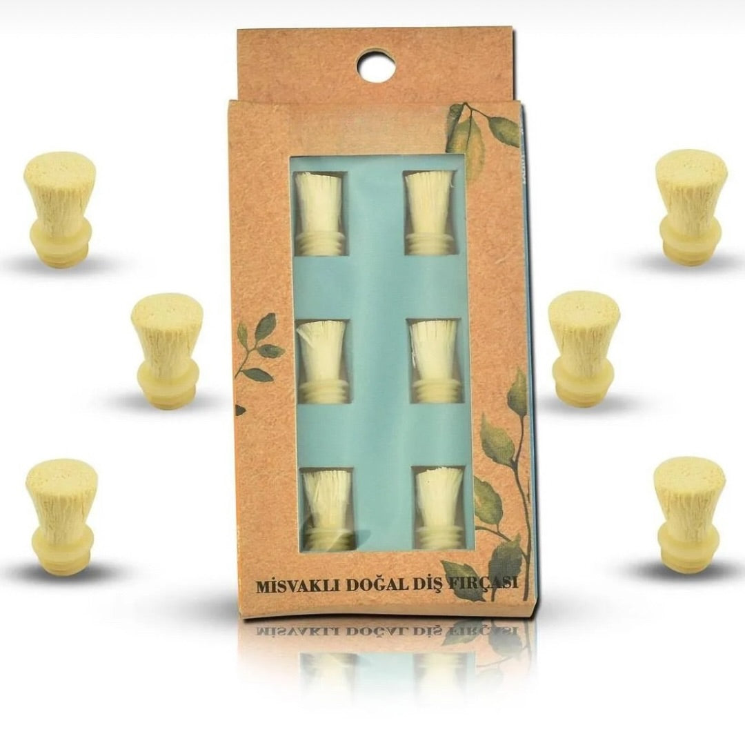 BYBELLA™ Misvak Diş Fırçası (Ekstra 6 ADET YEDEK BAŞLIK + DİŞ TOZU HEDİYE!)